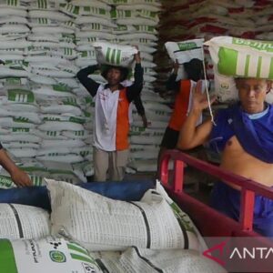 Penyerapan Pupuk Urea Bersubsidi di Temanggung Mencapai 55,14 Persen
