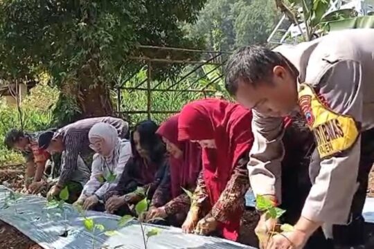 PLN Peduli: Mendorong Kemandirian Perempuan di Desa Linggoasri Kajen