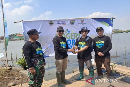 370 Titik Lahan Pertanian Terdampak Rob di Batang