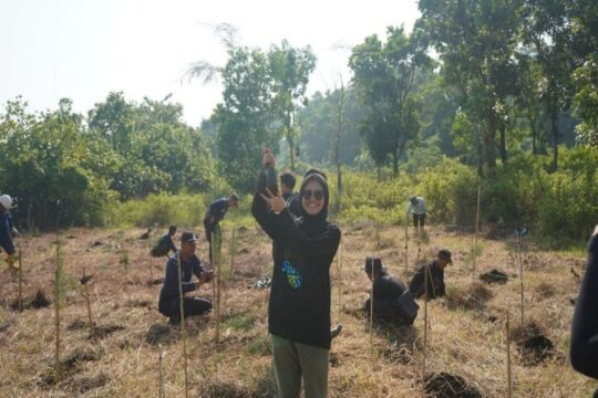 KEK Industropolis Batang Tanam 11 Ribu Mangrove Dukung Mageri Segoro