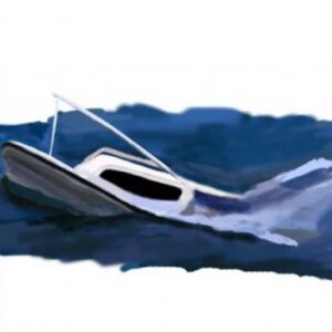 Tragedi Perahu Terbalik di India: 16 Orang Tewas