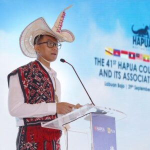 PLN Dorong Interkoneksi ASEAN Power Grid untuk Mempercepat Transisi Energi Bersih