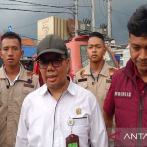 Bapanas Temukan Harga Beras Premium Jauh di Bawah HET