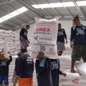 Petani Sambut Gembira Penurunan Harga Pupuk Bersubsidi