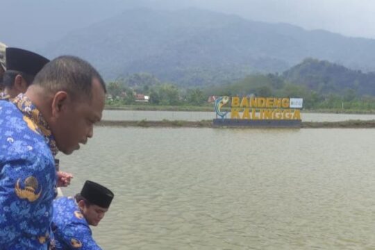 Pemkab Jepara Manfaatkan CSR untuk Kembangkan Sentra Bandeng di Donorojo