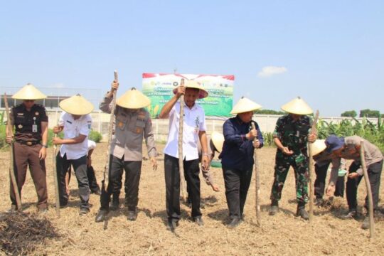 Polres Kudus Salurkan 40 Ton Jagung Kering ke Bulog