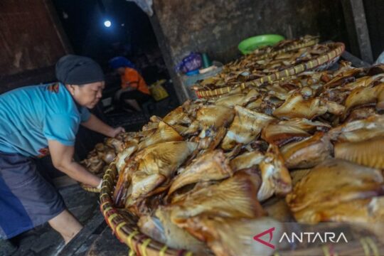 KUR Jangkau 3,75 Juta Debitur dan Serap Jutaan Tenaga Kerja