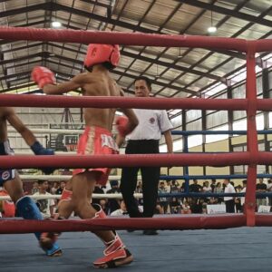 235 Atlet Kickboxing Ikut Babak Kualifikasi Porprov Jateng 2025