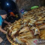 KUR Jangkau 3,75 Juta Debitur dan Serap Jutaan Tenaga Kerja