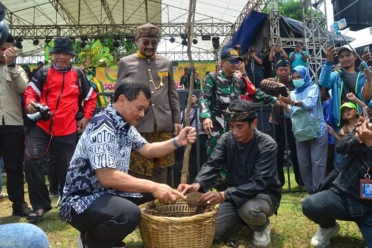 Festival Mangga Pemalang: Usulan Gubernur Jateng untuk Menjadi Acara Tahunan