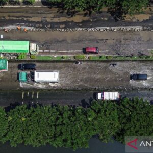 Rob di Empat Desa Demak Surut Berkat Mesin Penyedot Air