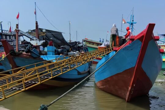 Gerakan Gemar Makan Ikan di Jawa Tengah: Kampanye Sehat dari Kantor Gubernur