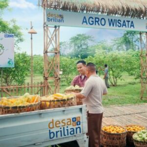 BRI Tingkatkan Pemberdayaan 4.909 Desa BRILiaN untuk Mewujudkan Asta Cita