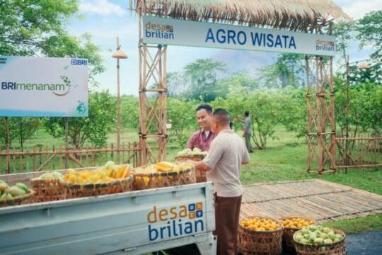 BRI Tingkatkan Pemberdayaan 4.909 Desa BRILiaN untuk Mewujudkan Asta Cita