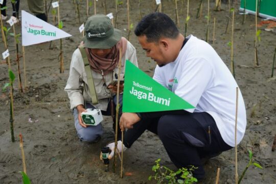 UIN Semarang Tanam Dua Ribu Mangrove di Pesisir Perairan Kendal