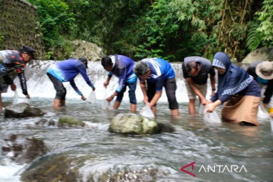 Temanggung Tebar 10.000 Ekor Benih Ikan untuk Lestarikan Ekosistem
