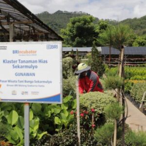 Holding Ultra Mikro BRI Salurkan Pembiayaan Rp632 Triliun kepada 34,5 Juta Debitur