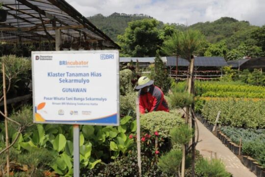 Holding Ultra Mikro BRI Salurkan Pembiayaan Rp632 Triliun kepada 34,5 Juta Debitur