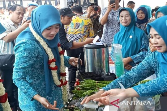 Pemprov Jateng Perkuat Pemberdayaan Ekonomi Perempuan Melalui Program UP2K