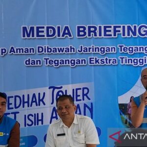 Patuhi Jarak Aman Ruang Udara di Bawah SUTT dan SUTET