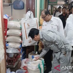 Bapanas Pastikan Ketersediaan Pangan dan Stabilitas Harga Beras