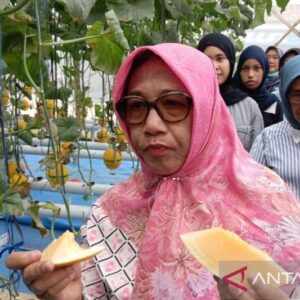 Dukungan Pemkab Blora untuk Petani Lokal dalam Pasok SPPG