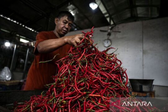 Kenaikan Harga Cabai Merah, Kacang Panjang, dan Bawang Merah Picu Inflasi di Jawa Tengah