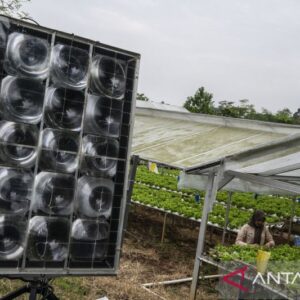 Optimalisasi Hasil Selada Hidroponik dengan PLTS Off-Grid di Semarang