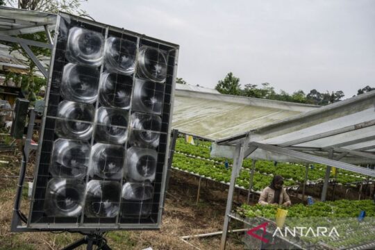 Pemanfaatan PLTS Off-Grid oleh Petani Semarang untuk Meningkatkan Hasil Selada Hidroponik