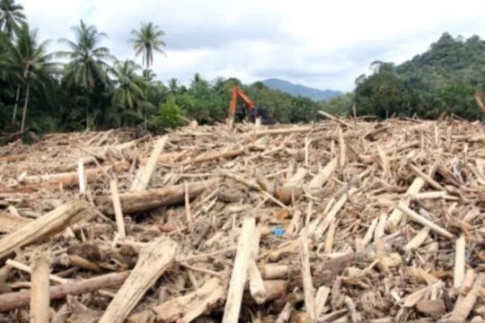 DPR Ajak Masyarakat Berikan Masukan untuk Revisi UU Kehutanan