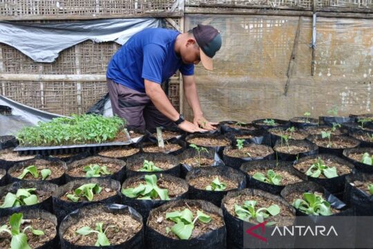 Warga Desa Dawung Wujudkan Ketahanan Pangan Melalui Penanaman Sayuran di Polybag
