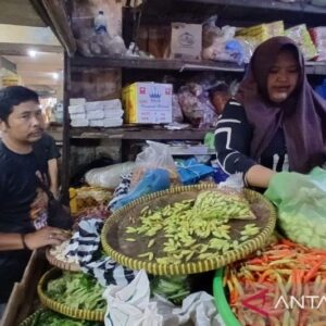 Kenaikan Harga Cabai di Temanggung Akibat Cuaca Ekstrem