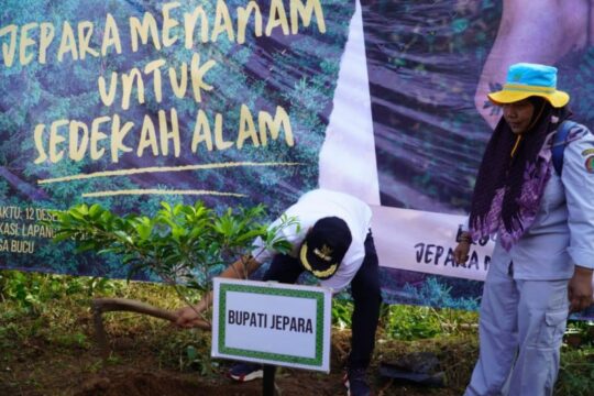 Program Jepara Menanam: Target 3,2 Juta Pohon untuk Lingkungan yang Lebih Hijau