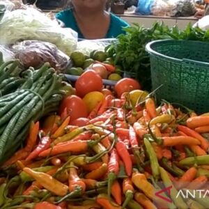 Stabilisasi Pangan Banyumas Jelang Nataru: Strategi Menjaga Ketersediaan dan Harga