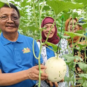 Universitas PGRI Semarang Panen Melon dan Persiapan Edupark