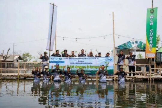 Bank bjb Jaga Ekosistem Pesisir di Subang Melalui Penanaman 10.000 Mangrove