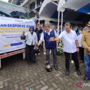 Undip Berhasil Ekspor Puluhan Ton Ikan Teri Nasi Jepara ke Jepang