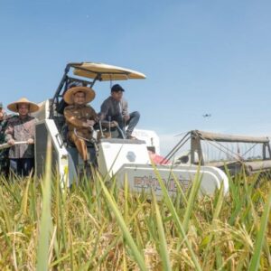 Produktivitas Pangan di Jateng Mencapai Target Nasional