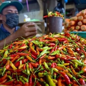 Tiga Komoditas Pendorong Inflasi di Jawa Tengah Desember 2025