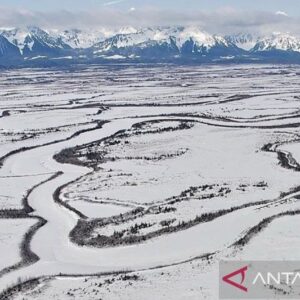 Rencana Invasi Militer Trump ke Greenland: Apa yang Terjadi?