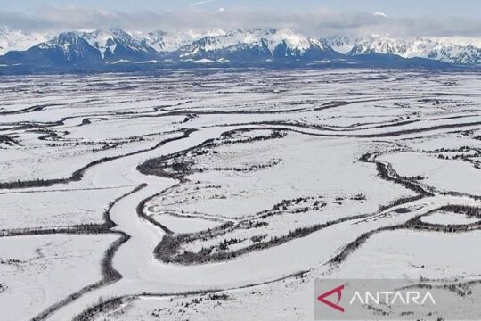 Rencana Invasi Militer Trump ke Greenland: Apa yang Terjadi?