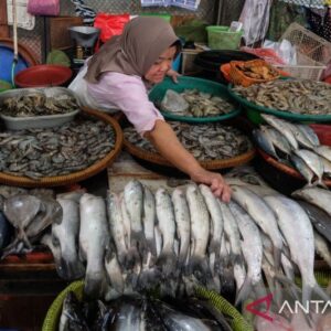 Serapan Konsumsi Ikan Nasional Mencapai 7,34 Juta Ton