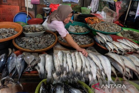 Serapan Konsumsi Ikan Nasional Mencapai 7,34 Juta Ton