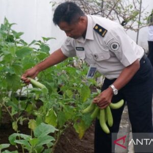 Rutan Temanggung Sukses Laksanakan Panen Raya Serentak Pemasyarakatan