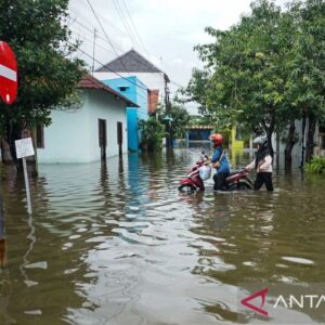 Banjir Menghantam Pekalongan: Ribuan Keluarga Terdampak