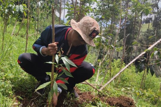 Penghijauan Jalur Pendakian Gunung Prau di Campurejo: Menanam 500 Pohon untuk Ekosistem