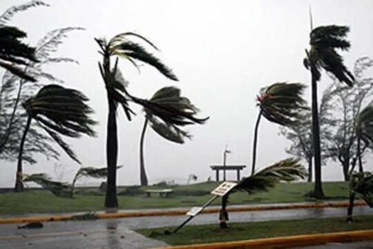 Delapan Rumah di Situbondo Rusak Akibat Terjangan Angin Kencang