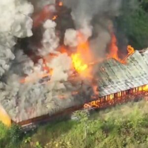 Tragedi Penyerangan Sekolah di Papua: 1 Tewas Akibat Tembakan OTK